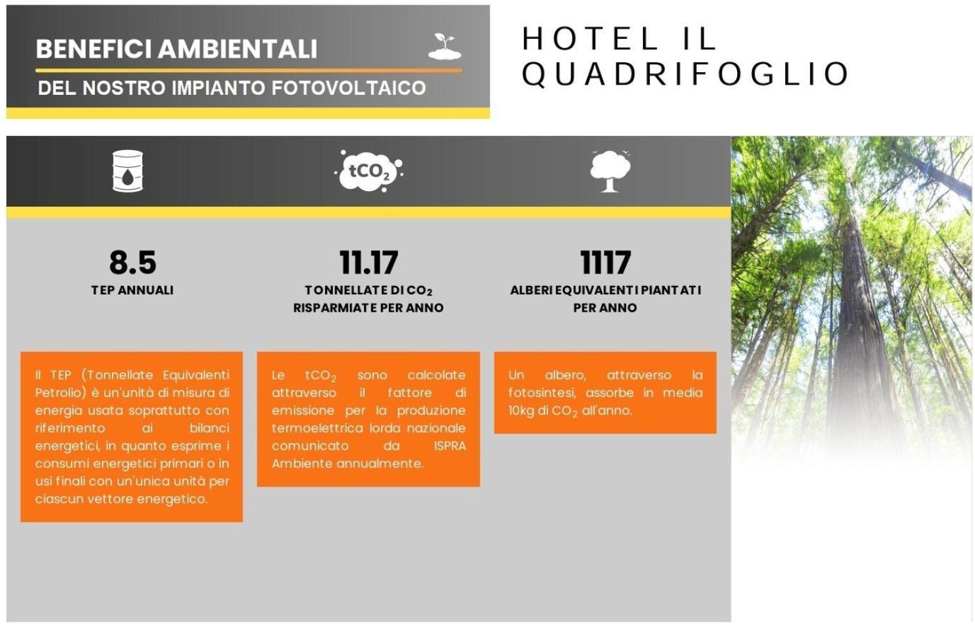 Hotel Quadrifoglio Roma Eur — Foto 3